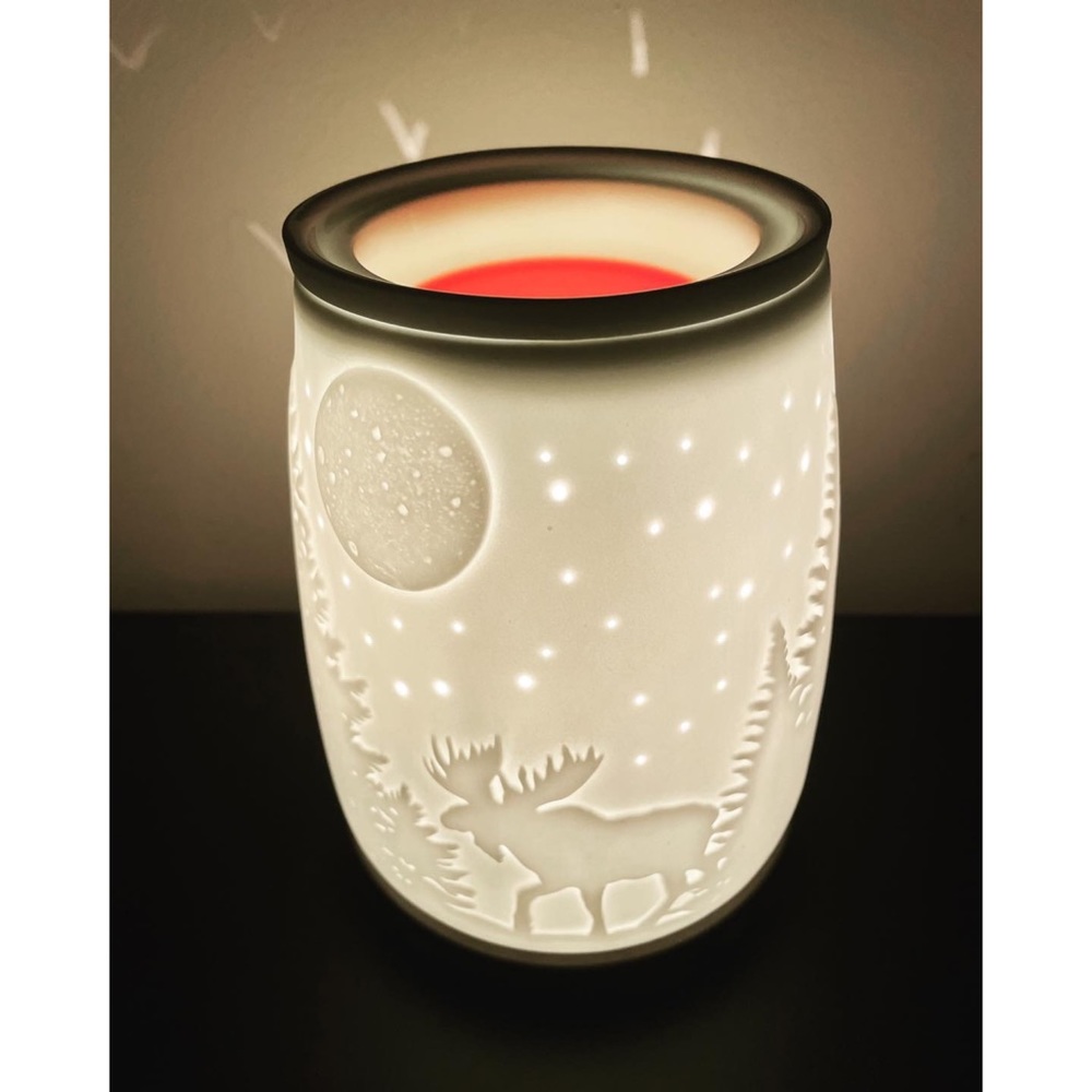 Starry Frontier Scentsy Warmer